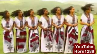 Ethiopian Traditional Music  Berhana Molla [upl. by Naujid]