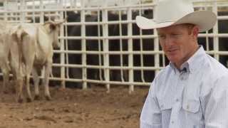 The Ride with Cord McCoy The Making of a World Champion Bucking Bull [upl. by Ayotna]