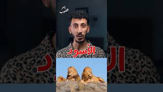 من هو الخنزير البري ؟ ayhamshalhoub أيهمشلهوب الاصلي [upl. by Anitteb]