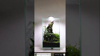 New ideas design terrariumdesign [upl. by Allenrac]