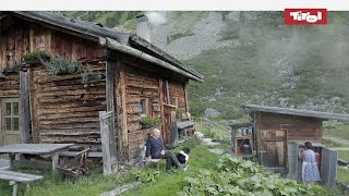 Leben auf der Alm  Almhütten in Tirol Österreich 🐮 [upl. by Miguelita]