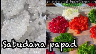 Sabudana Papad Recipe How to make Sabudana Papad at Home  by RENUKA’S kitchen [upl. by Prakash]