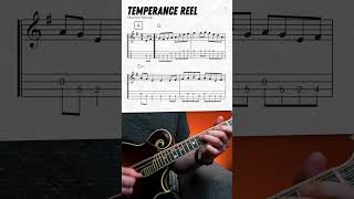 quotTemperance Reelquot Mandolin Lesson shorts [upl. by Sidwel756]