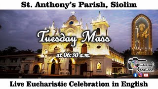 Tuesday English Mass Live at 630am 23th Jan 2024  St Anthonys Church Siolim [upl. by Feingold]