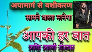 अपामार्ग \चिरचिटा की जड़ से आसान वशीकरण vashikarandipawali [upl. by Notlimah]