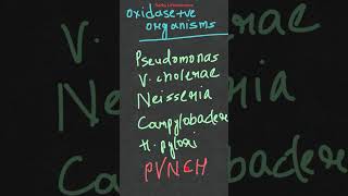 Oxidase test microbiological identification test biochemical test [upl. by Odo]