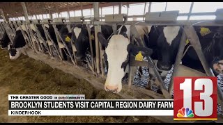 Brooklyn students visit Kinderhook dairy farm [upl. by Nomahs]