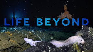 Life Beyond Harnessing science to safeguard our seas [upl. by Lavoie706]