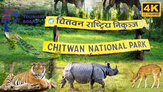 Chitwan National Park 🌲🌳🍁🦏🐘🐅🐆🐯🐒 [upl. by Marte]