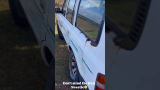 Go watch the full video of the 80 series subscribe 80serieslandcruiser toyota landcrusier [upl. by Eaneg]