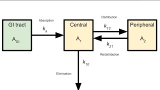 Biopharmaceutics Multicompartment model [upl. by Otrebtuc]