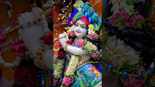 Hey Gopal Krishna Karu Aarti Teri radhakrishna  status song  krishna shorts trending short [upl. by Imim648]