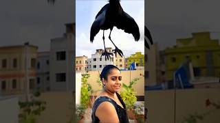 Woman transforms into a real Crow 🐦 in AGT Americas got talent 😱😂 Duo SchumacherAGTmagic [upl. by Stubbs]