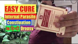 HOW to Epsom Salts Cure for Freshwater Aquarium Fish amp Pond Fish Dropsy Bloat amp Internal Parasite [upl. by Krenn]