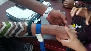 how to insert IV cannula  Practice Time  how to insert intravenous cannula cannulation [upl. by Marfe327]