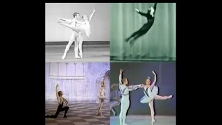 Mikhail Baryshnikov  Four Performances in ‘Don Quixote’ Before 1974 [upl. by Nyllewell54]