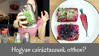 Hogyan csíráztassunk otthon Tippek és tanácsok [upl. by Etnaid]