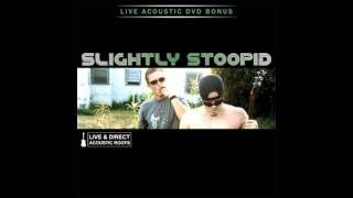 Slightly Stoopid  WisemanAcoustic [upl. by Nnaeoj]