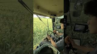 デントコーン収穫 johndeere shorts [upl. by Namolos]