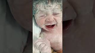 Baby have lots of vernix viralvideo newbornbaby littleprince littleheart [upl. by Ayotahc]