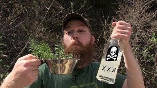 Does Booze Boil Better  Everclear VS Denatured Alcohol  Conifer Tea [upl. by Egief876]