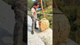 Breaking the bee wheel without safety 🦺😱😎 shortvideo amazingfacts [upl. by Zuleika]