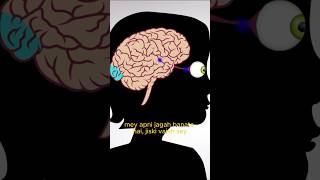 How Clutter affects your brain viralvideo trending shorts informative mentalhealth anxiety [upl. by Chloris752]