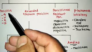 BLACTUM ANTIBIOTICS WITH TRICKS 1PENICILLIN  RRB PHARMACIST EXAM  GPAT  ESIC  PART 45 [upl. by Idihsar605]