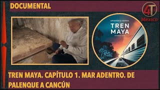 Tren Maya Capítulo 1 Mar adentro De Palenque a Cancún  Documental de Epigmenio Ibarra [upl. by Winou619]