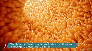 Introduction to yeast cell wall [upl. by Viveca]