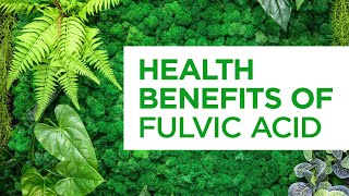 Fulvic Acid Explained Why Our Bodies Need Natural Compounds [upl. by Akimak]