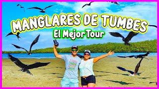 El MEJOR TOUR a los MANGLARES de TUMBES✅😎 [upl. by Animlehliw]