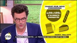 Dossier du Jour  Aliments fermentés  la tendance qui nous veut du bien [upl. by Sucitivel193]