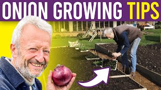 Onion 101 A Beginners Guide to Growing Onions and Spring Onions from Seed for Large Harvests [upl. by York]