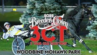 2022 Breeders Crown  King Of The North  3CT [upl. by Nuawad]