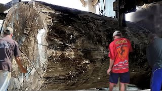 unexpected surprise while sawing ancient log at the sawmill [upl. by Wistrup]