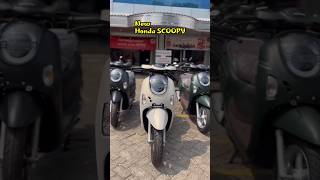 NEW HONDA SCOOPY 2025 scoopy2025 shorts scoopyterbaru shortvideo [upl. by Rebhun]