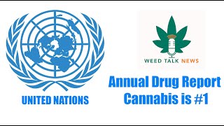 Another Step to Legalization UN 2023 Drug Report Cannabis is 1 [upl. by Alemat]