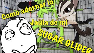 Como adornar la jaula de mi SUGAR GLIDERPETAURO DE AZÚCARJaula de Petauro MORDIDA DE SERPIENTE [upl. by Cone]