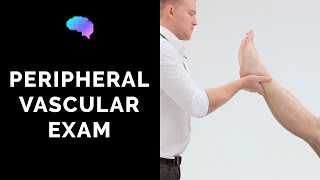 Peripheral Vascular Examination  OSCE Guide Latest  UKMLA  CPSA [upl. by Hpesojnhoj]