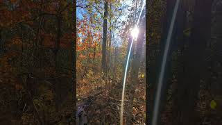 Bow Hunting NORTHERN MINNESOTA [upl. by Shulem143]