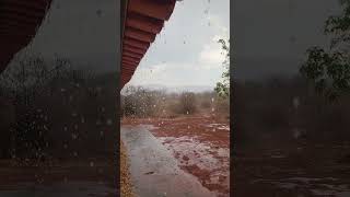 Água da Chuva é a Melhor para as Plantas [upl. by Mcgaw178]