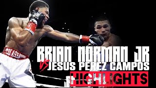 Brian Norman Jr vs Jesus Antonio Perez Campos  HIGHLIGHTS BrianNormanJr [upl. by Poree]