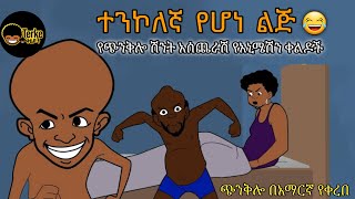 ተንኮለኛ የሆነ ልጅ  እና ሌሎች የአኒሜሽን ቀልዶች  New Ethiopian animation comedy  Donkey Tube  Dink Lijoch [upl. by Pyszka893]