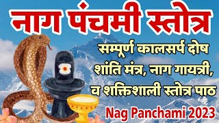 Nag Panchami 2023 नाग पंचमी स्तोत्र संपूर्ण कालसर्प दोष शांति मंत्र नाग गायत्री व शक्तिशाली स्तोत्र [upl. by Lazaro]