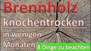 Brennholz – knochentrocken in wenigen Monaten – 8 Dinge zu beachten [upl. by Suravart]