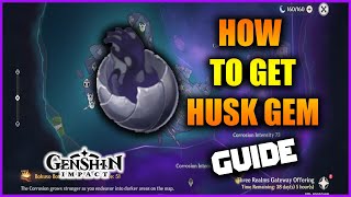 Genshin Impact How to get Husk Gem [upl. by Barden194]