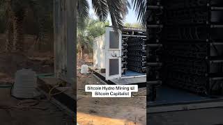 Bitcoin hydro mining Dubai UAE bitcoin antspace bitmain antminers bitcoinmining bitcoinminers [upl. by Ijar]