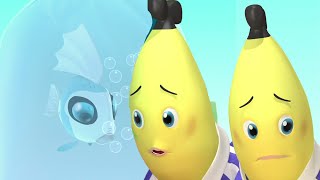 The Bananas New Pet  Bananas in Pyjamas Season 1  Full Episodes  Bananas In Pyjamas [upl. by Esyak]