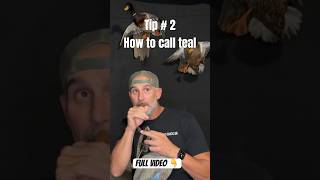 Tip 2 cont early teal hunting How to blow a teal call Full video below tealhunting duckhunting [upl. by Monroy]